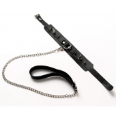 Черный ошейник с шипами и поводком - Crazy Handmade - купить с доставкой в Элисте