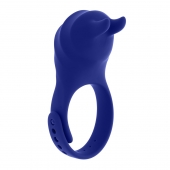 Синее эрекционное виброкольцо с клиторальной подушечкой и пультом ДУ Adjustable Fun Ring - Zero Tolerance - в Элисте купить с доставкой