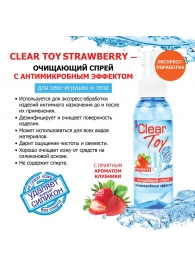 Очищающий спрей для игрушек CLEAR TOY Strawberry - 100 мл. - Биоритм - купить с доставкой в Элисте