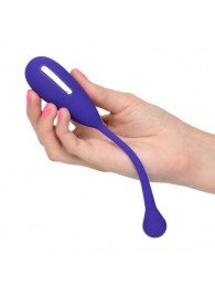 Фиолетовый шарик с электростимуляцией и вибрацией Intimate E-Stimulator Remote Kegel Exerciser - California Exotic Novelties - купить с доставкой в Элисте