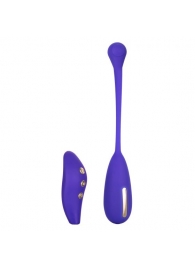 Фиолетовый шарик с электростимуляцией и вибрацией Intimate E-Stimulator Remote Kegel Exerciser - California Exotic Novelties - купить с доставкой в Элисте