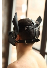 Эффектная маска собаки с металлическими заклепками - БДСМ Арсенал - купить с доставкой в Элисте