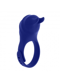 Синее эрекционное виброкольцо с клиторальной подушечкой и пультом ДУ Adjustable Fun Ring - Zero Tolerance - в Элисте купить с доставкой