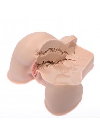 Мастурбатор-полуторс Naked Factory Kate - Naked Factory - в Элисте купить с доставкой