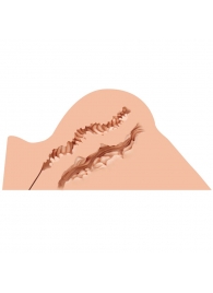 Мастурбатор-полуторс Naked Factory Hannah - Naked Factory - в Элисте купить с доставкой