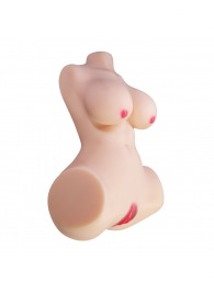 Мастурбатор-торс Aveline с 2 любовными тоннелями - Baile - в Элисте купить с доставкой