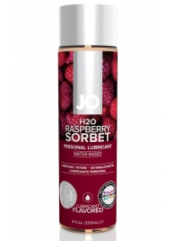 Лубрикант на водной основе с ароматом малины JO Flavored Raspberry Sorbet - 120 мл. - System JO - купить с доставкой в Элисте