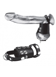 Кольцо на член и мошонку Cock Ring With 2  Ball Stretcher And Optional Weight Ring - BlueLine - в Элисте купить с доставкой