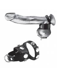 Утяжка для мошонки и пениса Cock Ring With 1  Ball Stretcher And Optional Weight Ring - BlueLine - купить с доставкой в Элисте