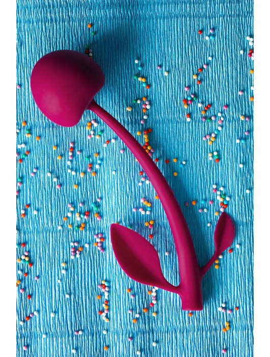 Бордовая вагинальная вишенка WILD CHERRY - 14,5 см. - JOS