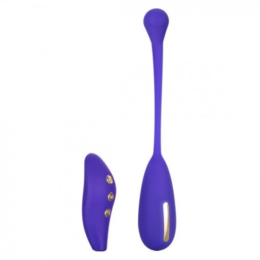 Фиолетовый шарик с электростимуляцией и вибрацией Intimate E-Stimulator Remote Kegel Exerciser - California Exotic Novelties - купить с доставкой в Элисте