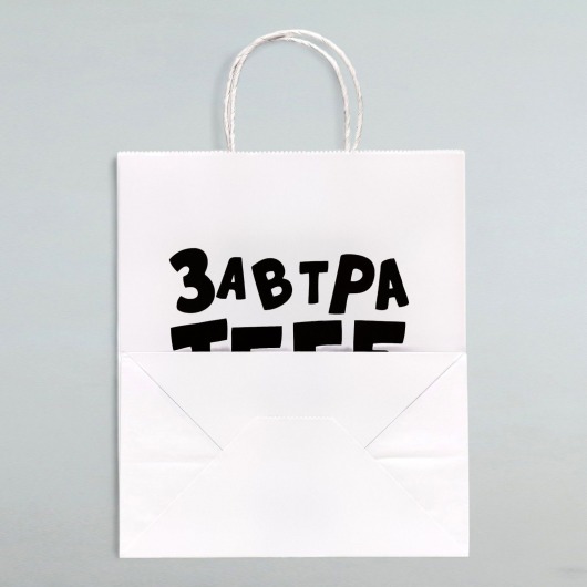 Подарочный пакет  Завтра тебе будет стыдно  - 30 х 24 см. - UPAK LAND - купить с доставкой в Элисте