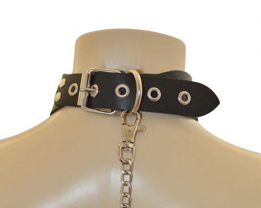 Ошейник  Веселый Роджер - Sitabella - купить с доставкой в Элисте