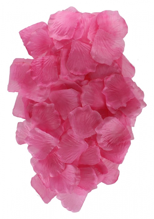 Эротический набор FANTASTIC PURPLE SEX TOY KIT - Toy Joy - купить с доставкой в Элисте