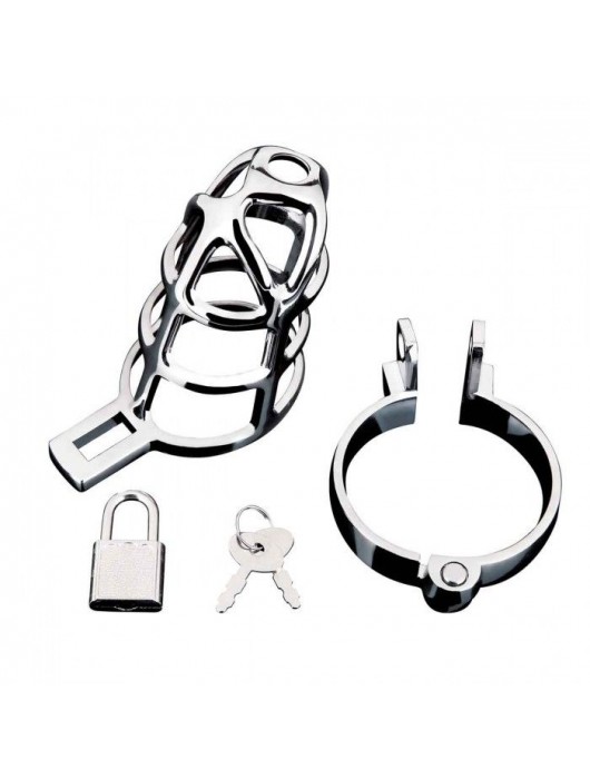 Серебристая металлическая клетка для члена с замком Enslave Cock Cage - BlueLine - купить с доставкой в Элисте