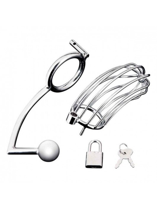 Серебристая металлическая клетка с анальным стимулятором Cock Cage - BlueLine - купить с доставкой в Элисте