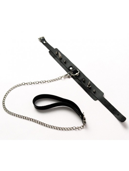 Черный ошейник с шипами и поводком - Crazy Handmade - купить с доставкой в Элисте