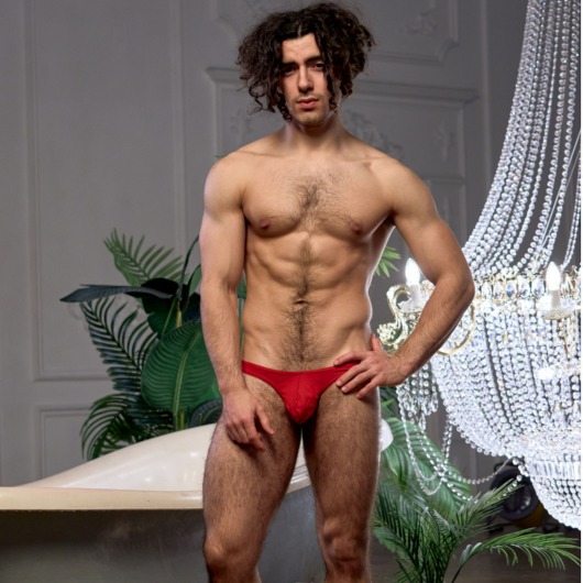 Красные мужские хлопковые трусы-бразилиана - DonDon купить с доставкой