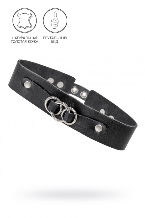 Черный чокер-ошейник со связанными кольцами на подложке - Pecado - купить с доставкой в Элисте