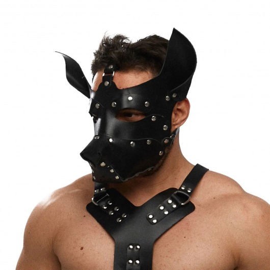 Черная кожаная маска «Собака» - Crazy Handmade - купить с доставкой в Элисте