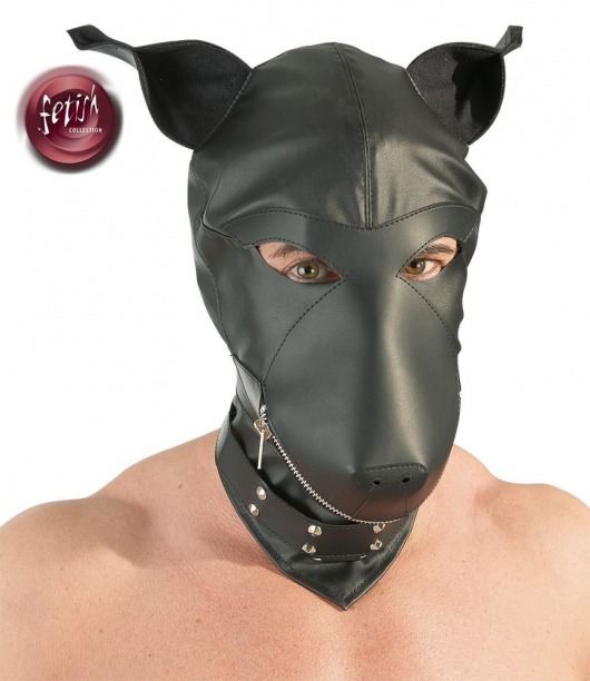 Шлем-маска Dog Mask в виде морды собаки - Orion - купить с доставкой в Элисте