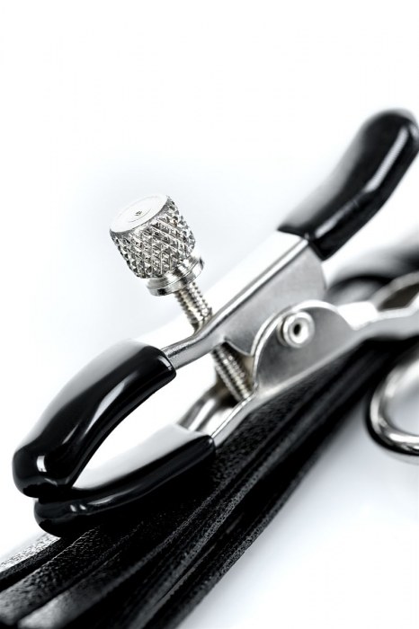 Черно-серебристые зажимы для сосков Theatre с кисточками - ToyFa - купить с доставкой в Элисте